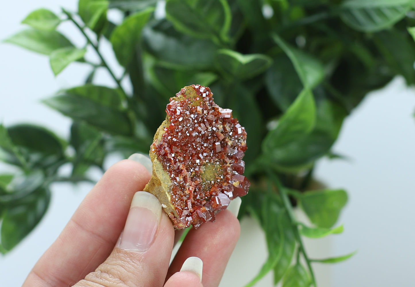 Moroccan Vanadinite Specimen