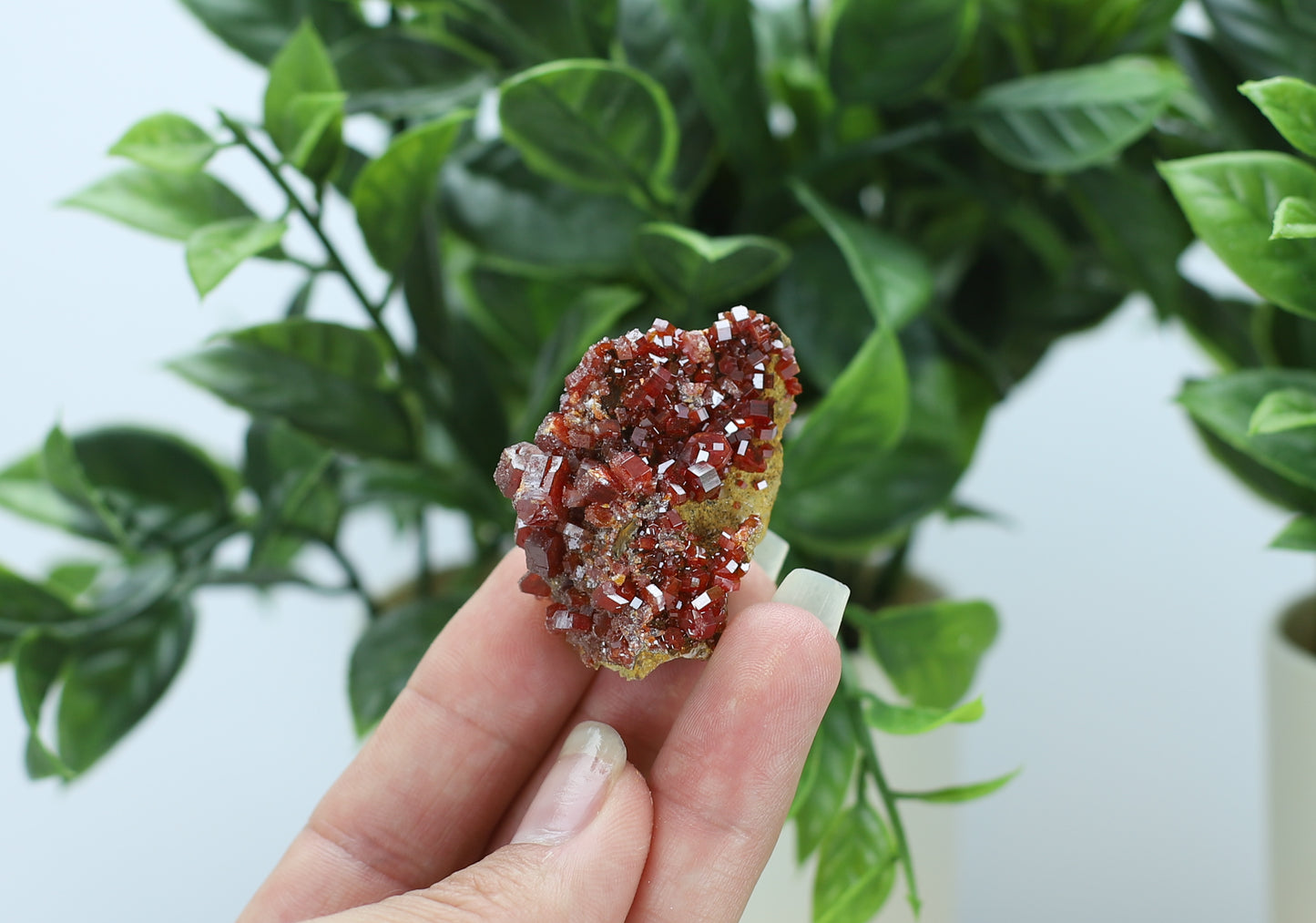 Moroccan Vanadinite Specimen