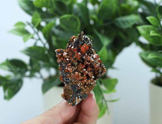 Moroccan Vanadinite Specimen