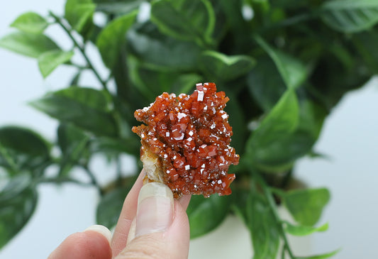 Moroccan Vanadinite Specimen