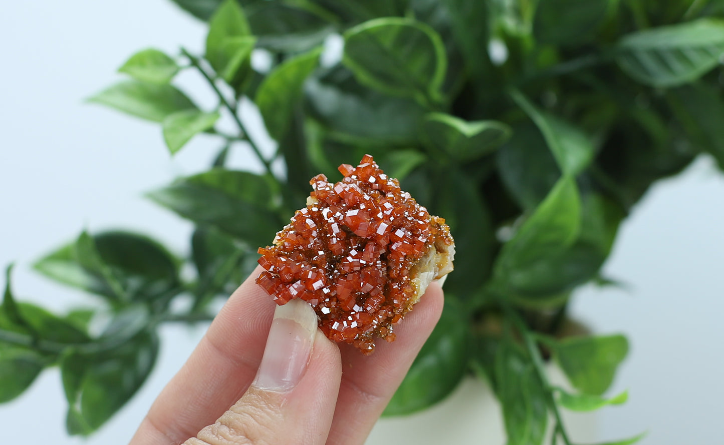 Moroccan Vanadinite Specimen