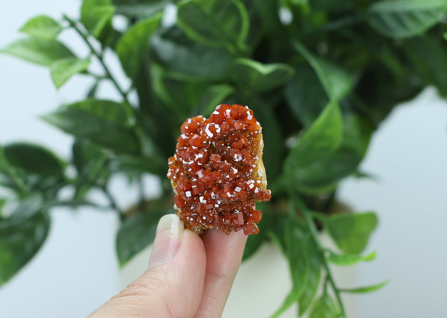 Moroccan Vanadinite Specimen