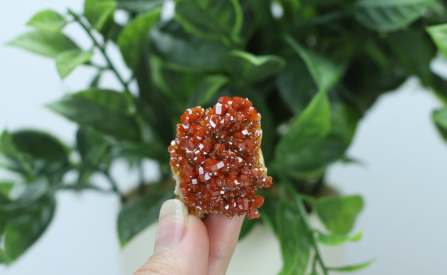 Moroccan Vanadinite Specimen