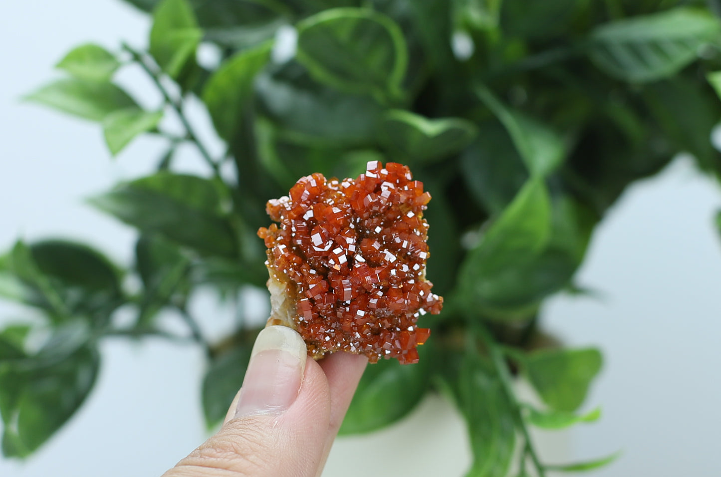 Moroccan Vanadinite Specimen