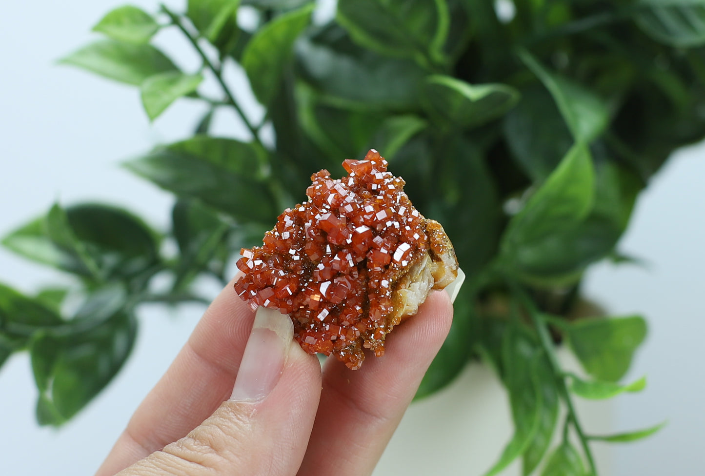Moroccan Vanadinite Specimen