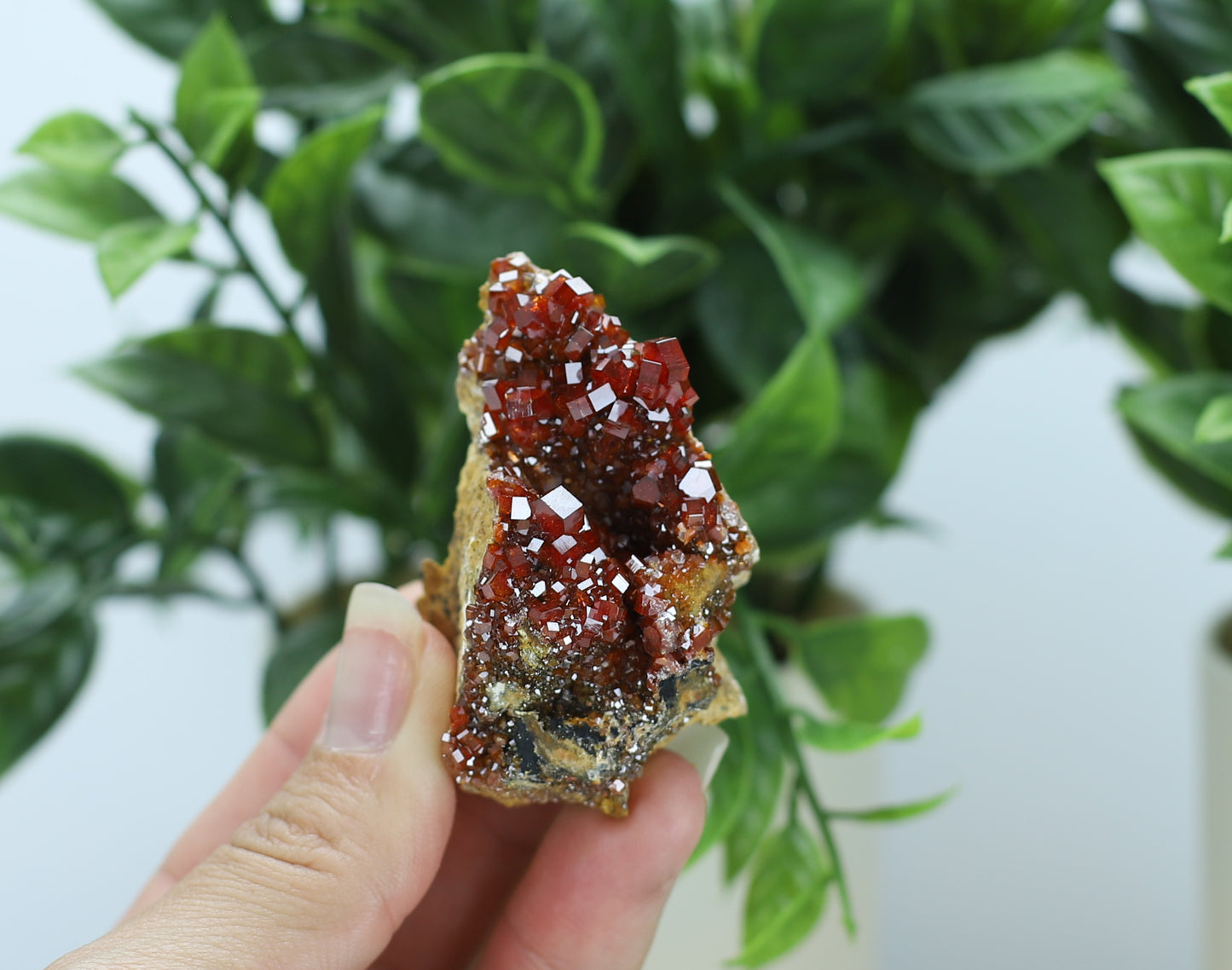 Moroccan Vanadinite Specimen