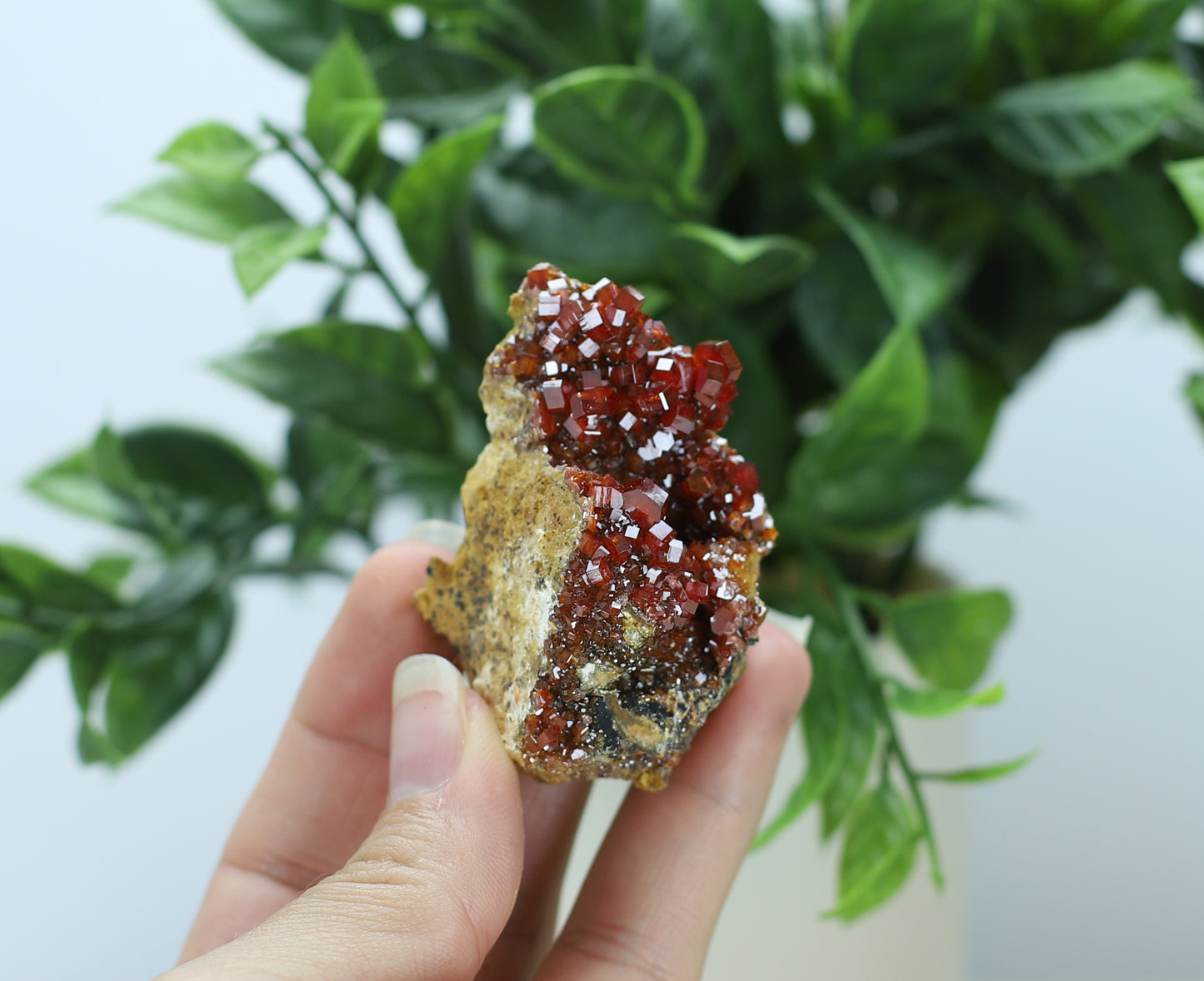 Moroccan Vanadinite Specimen