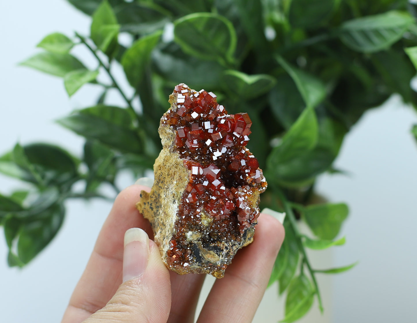 Moroccan Vanadinite Specimen