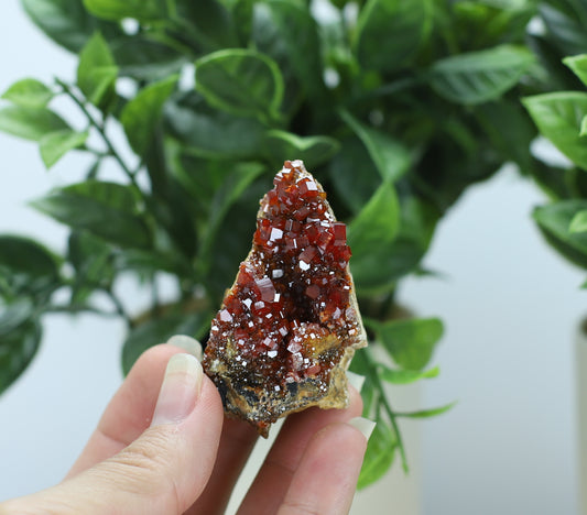 Moroccan Vanadinite Specimen