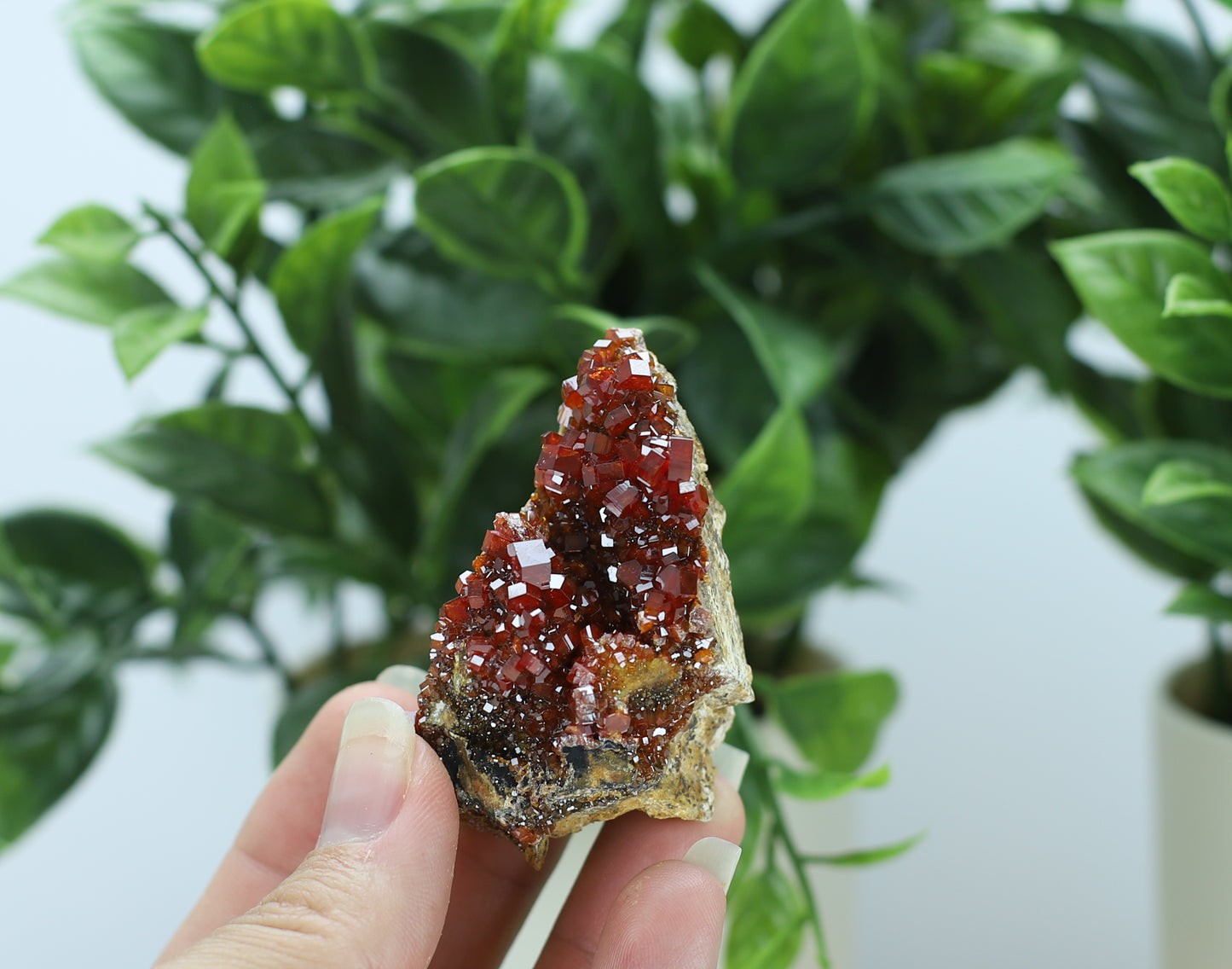 Moroccan Vanadinite Specimen