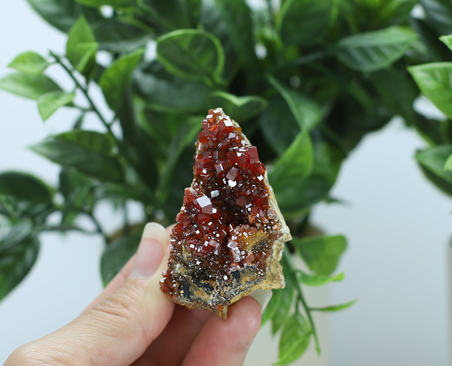 Moroccan Vanadinite Specimen