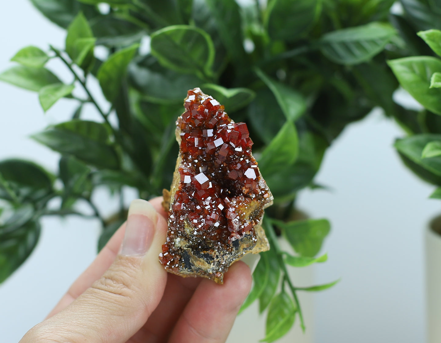 Moroccan Vanadinite Specimen