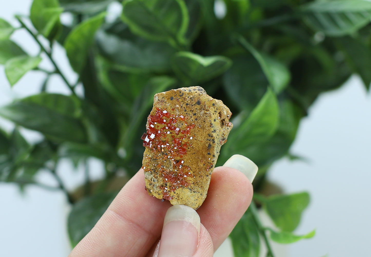 Moroccan Vanadinite Specimen