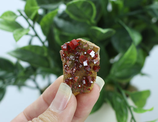 Moroccan Vanadinite Specimen