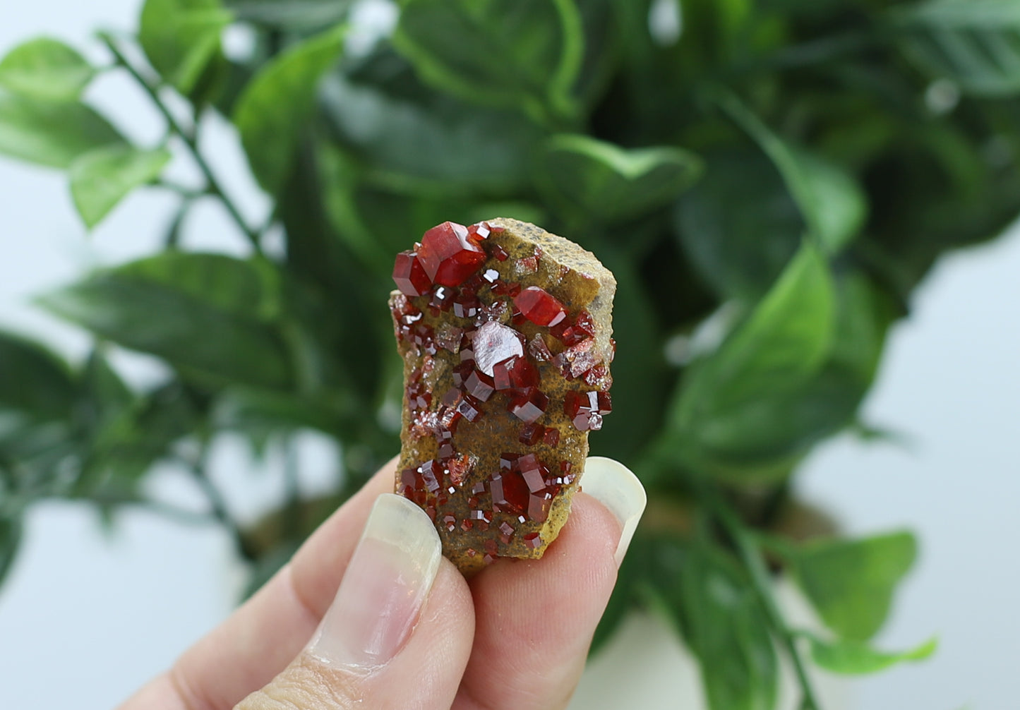 Moroccan Vanadinite Specimen