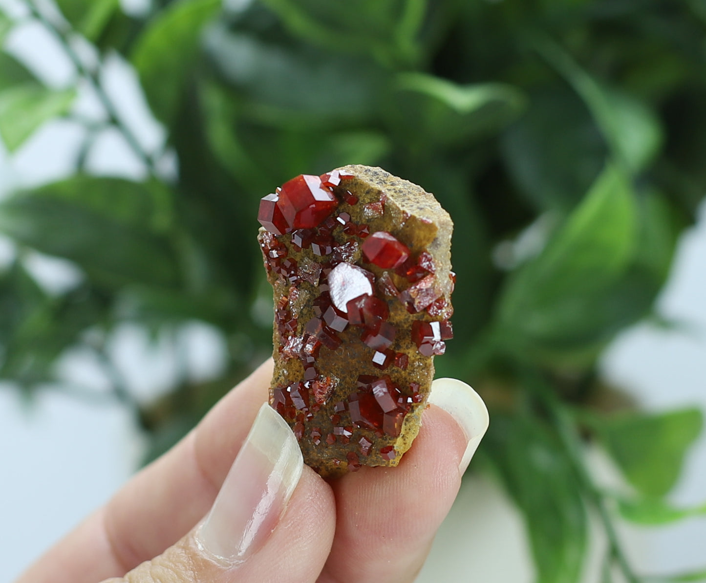 Moroccan Vanadinite Specimen
