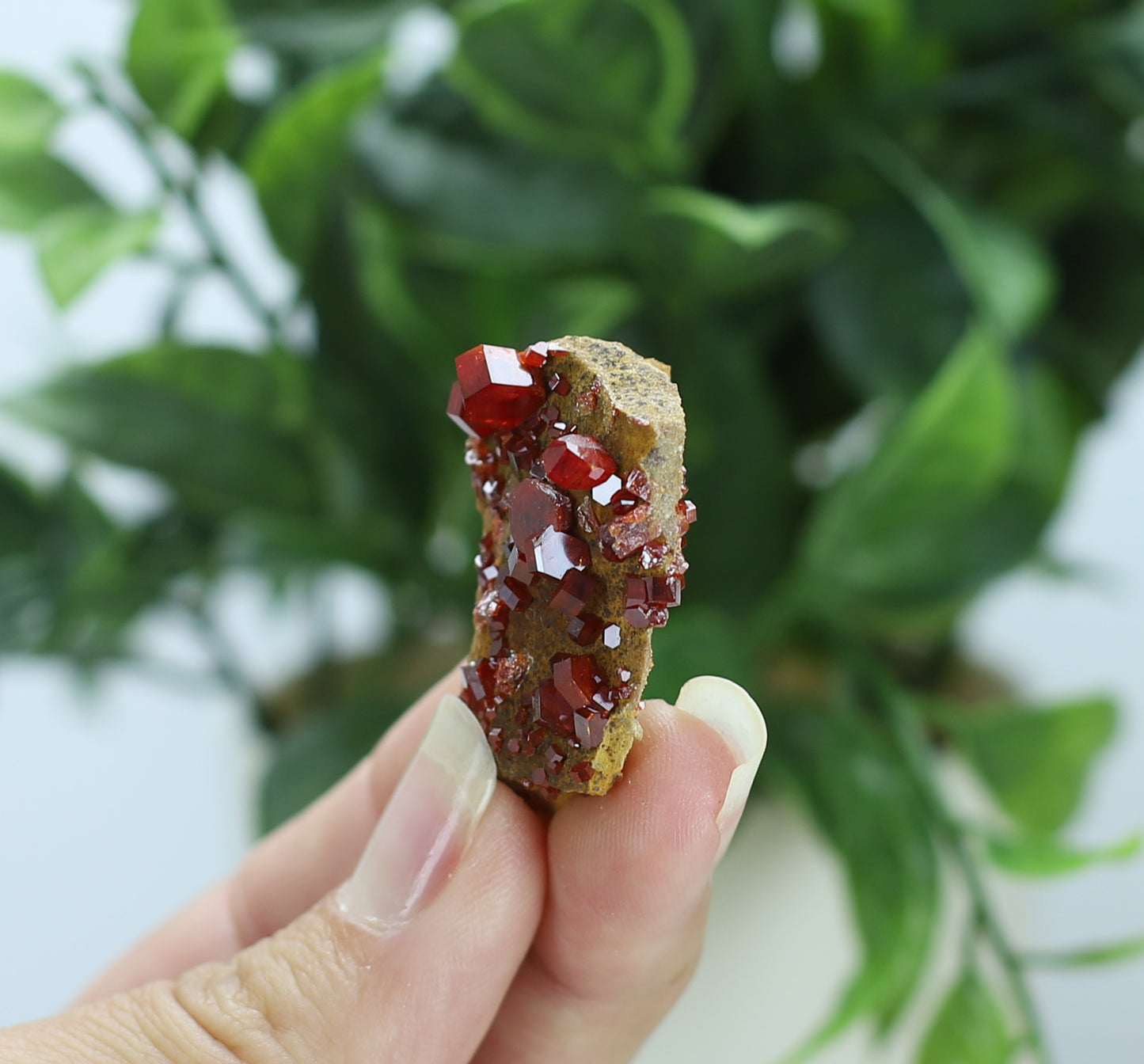 Moroccan Vanadinite Specimen
