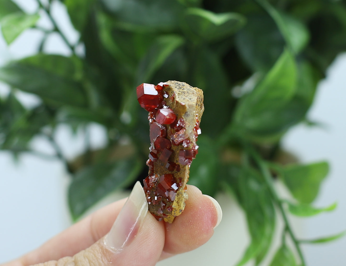 Moroccan Vanadinite Specimen