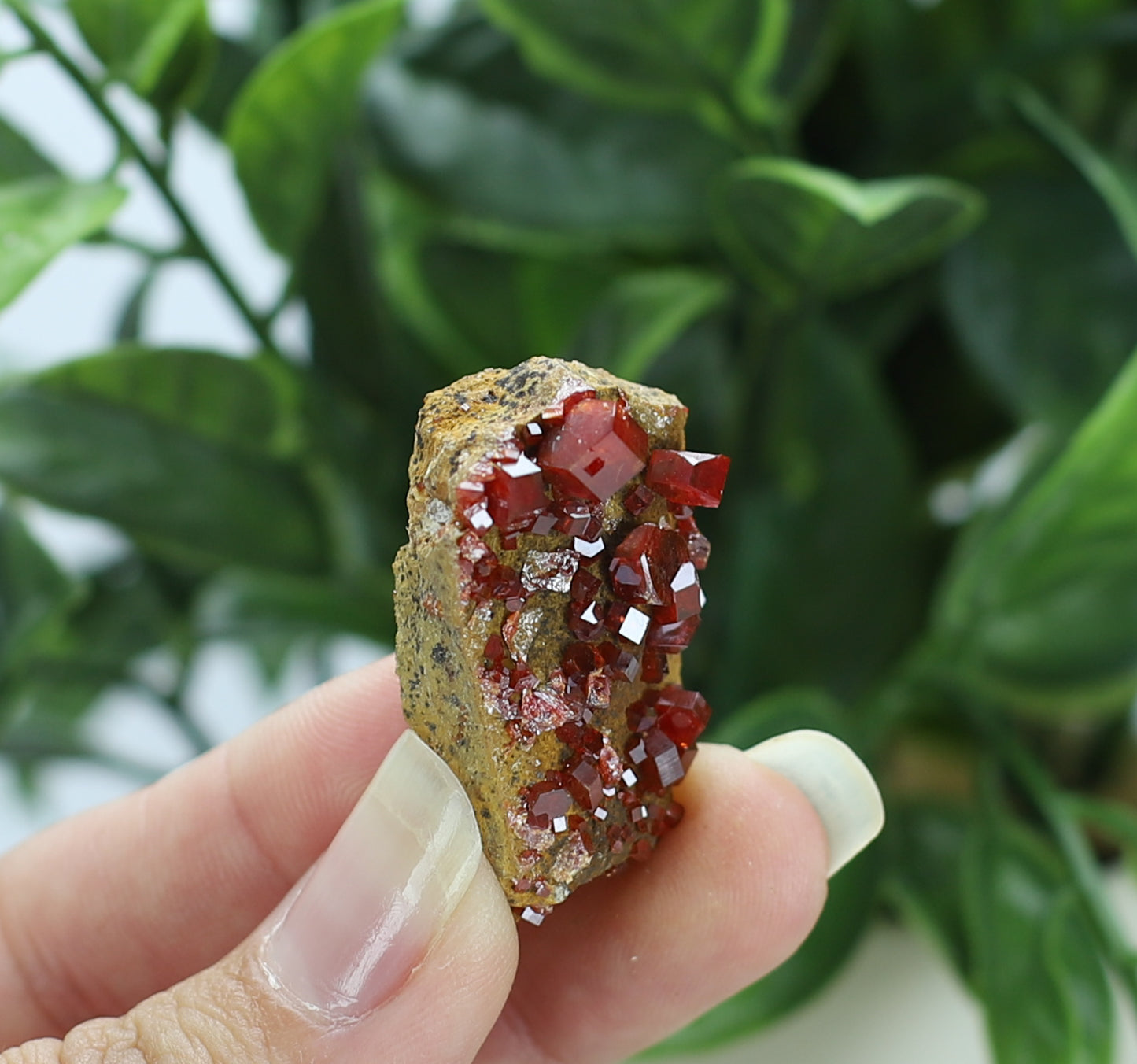 Moroccan Vanadinite Specimen