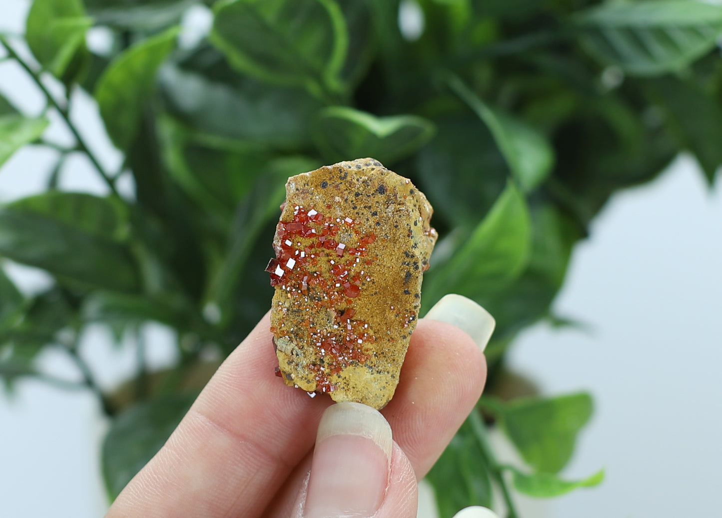 Moroccan Vanadinite Specimen
