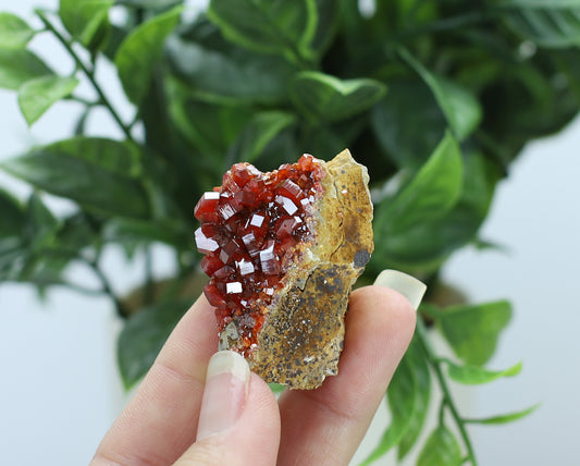 Vanadinite Specimen