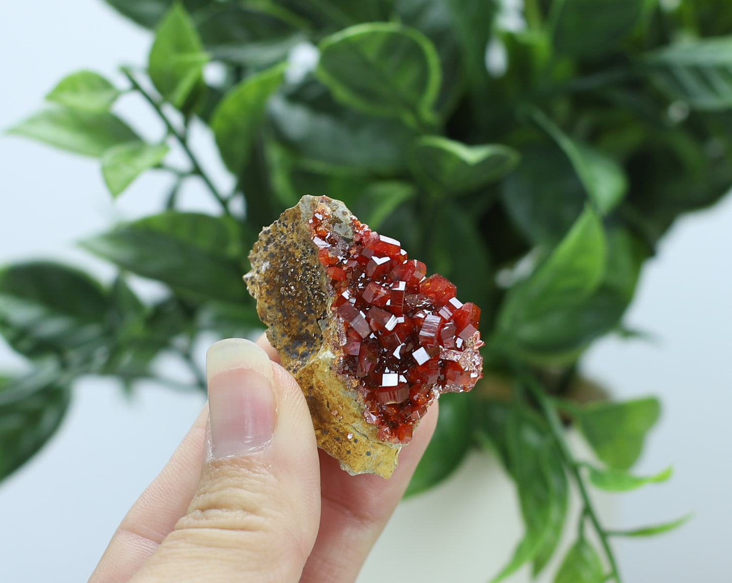 Vanadinite Specimen