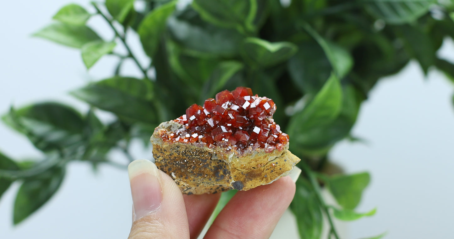 Vanadinite Specimen