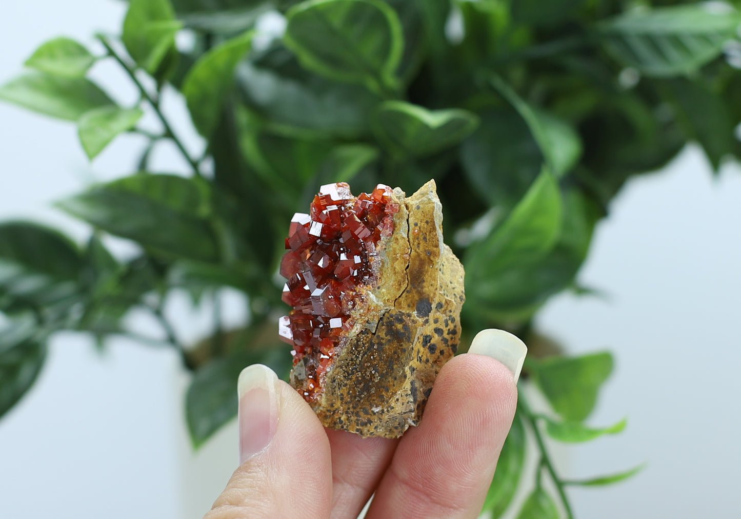 Vanadinite Specimen