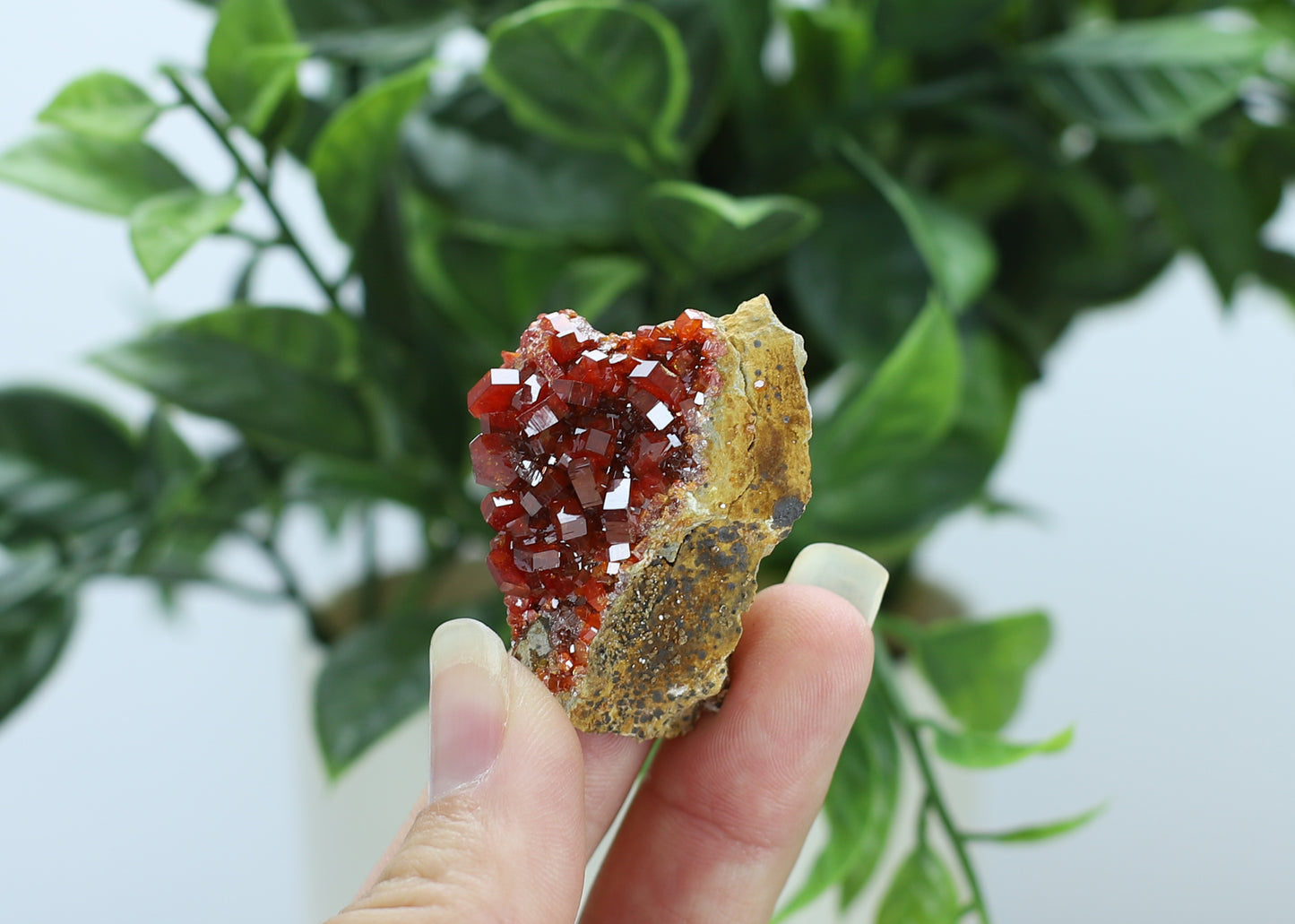 Vanadinite Specimen