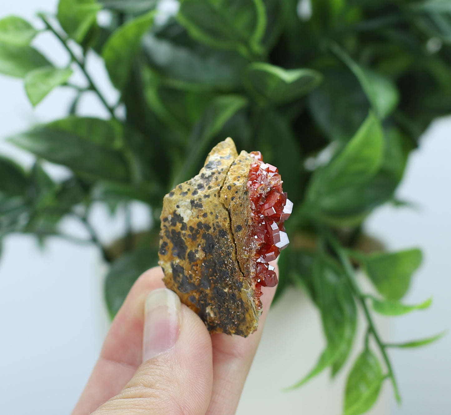Vanadinite Specimen