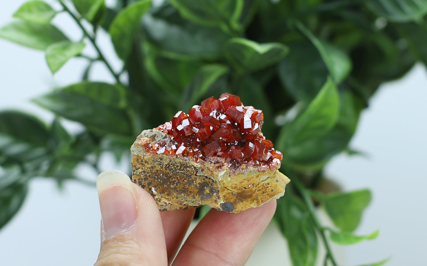 Vanadinite Specimen