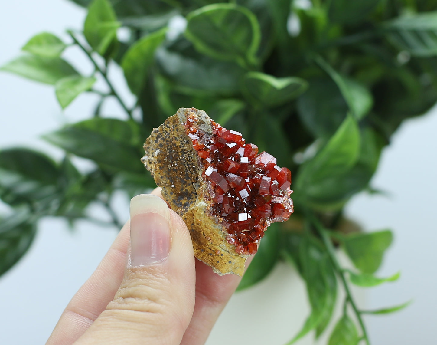 Vanadinite Specimen