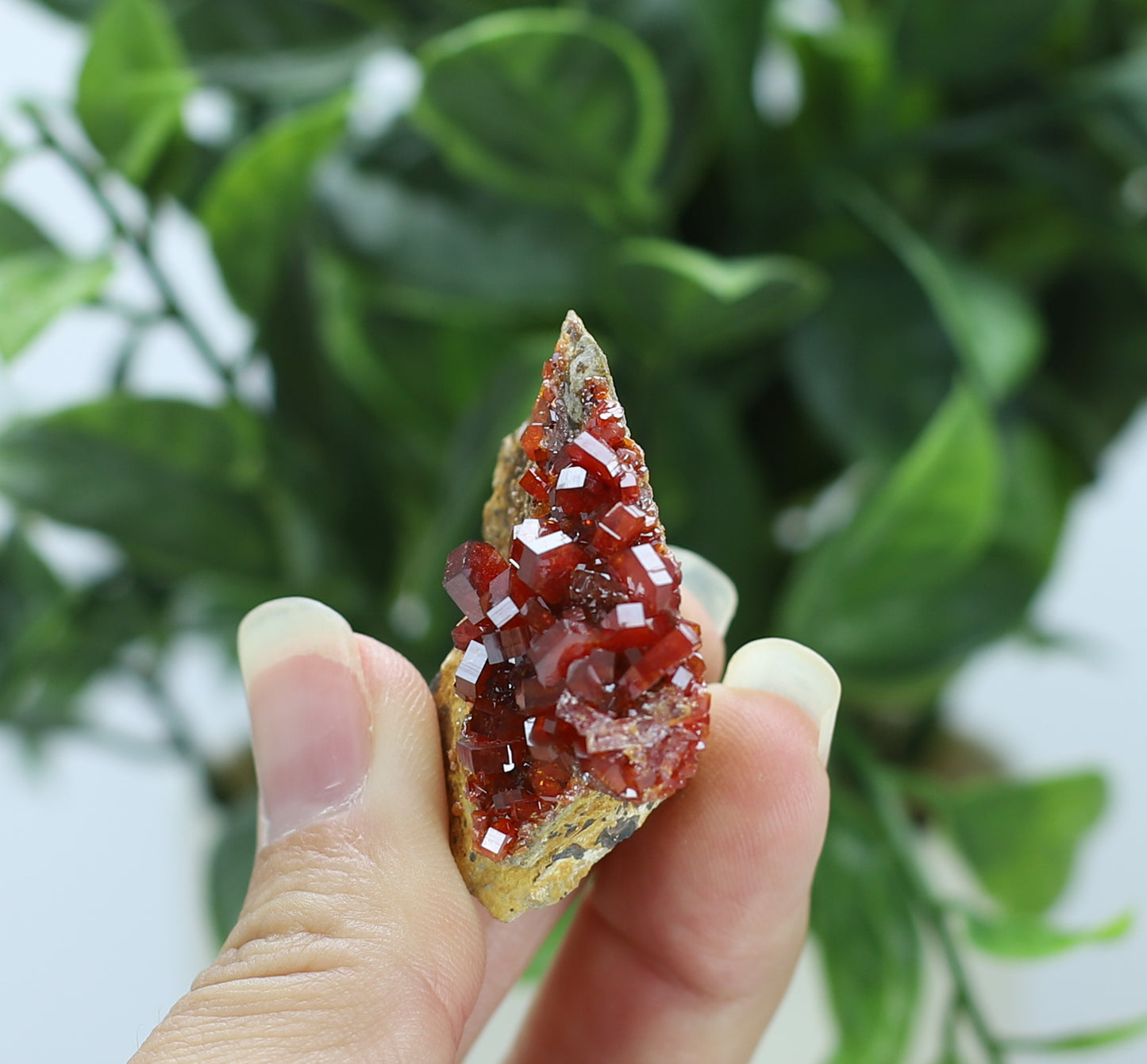 Vanadinite Specimen