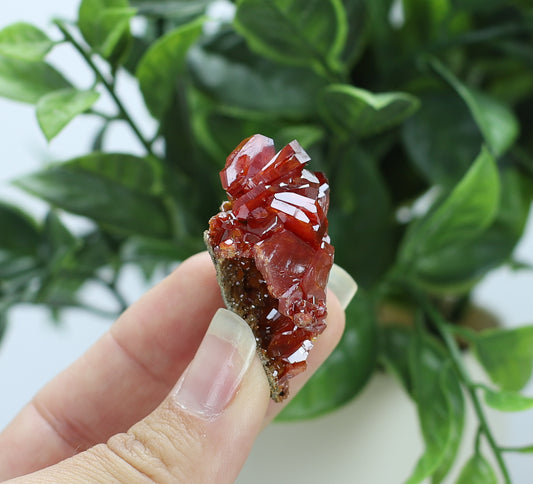 Moroccan Vanadinite Specimen