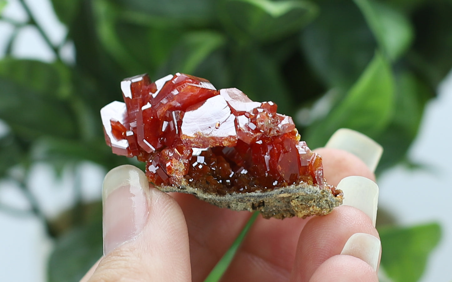 Moroccan Vanadinite Specimen