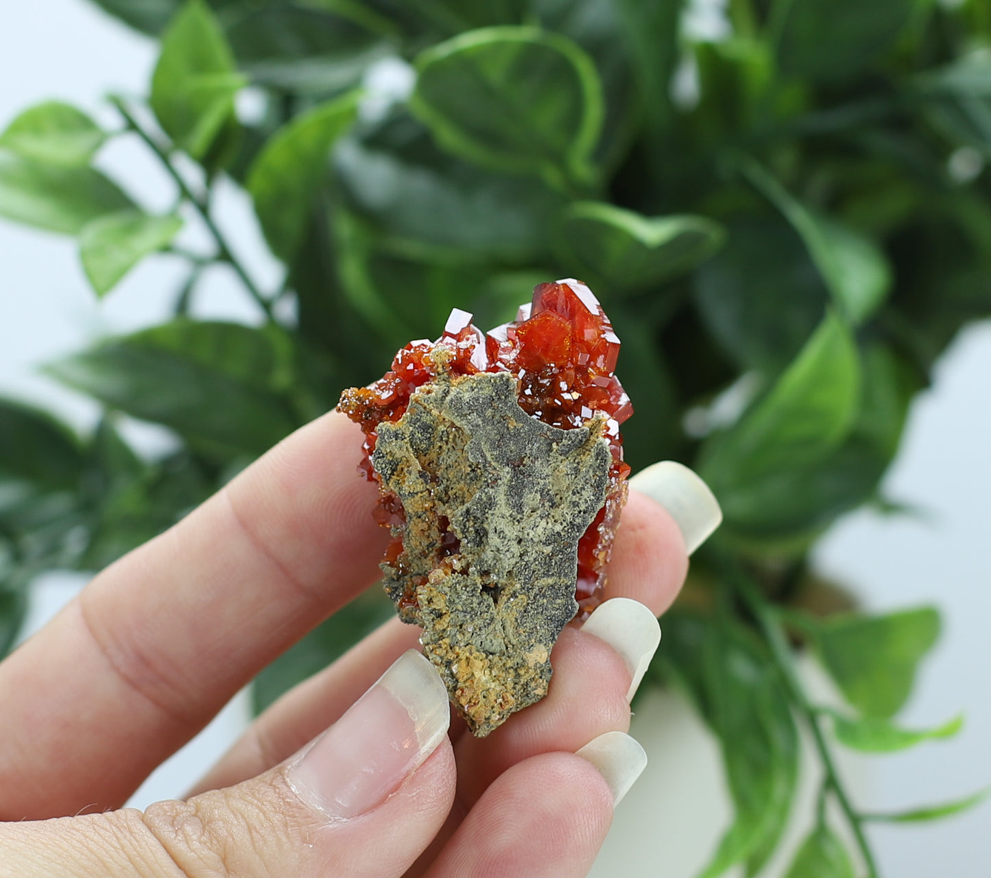 Moroccan Vanadinite Specimen