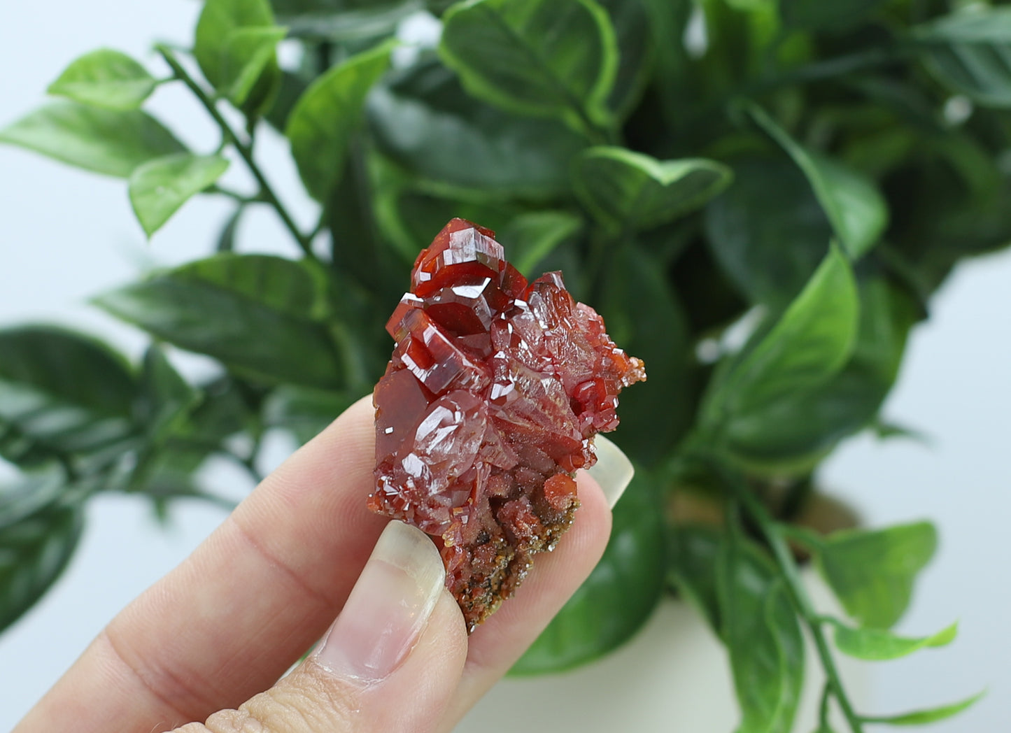Moroccan Vanadinite Specimen