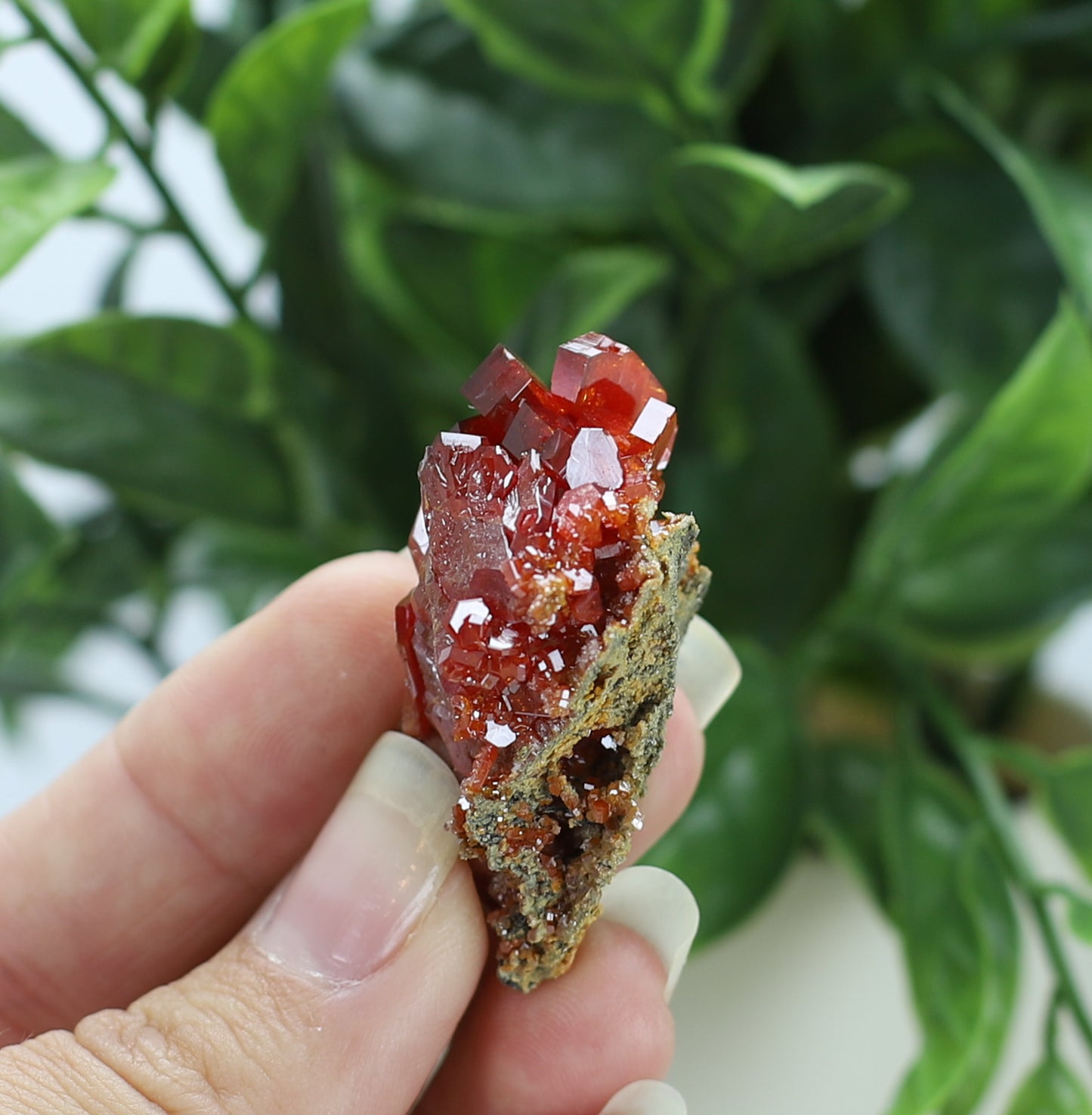 Moroccan Vanadinite Specimen