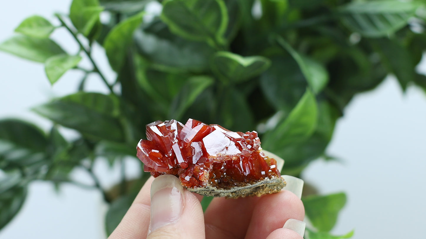 Moroccan Vanadinite Specimen