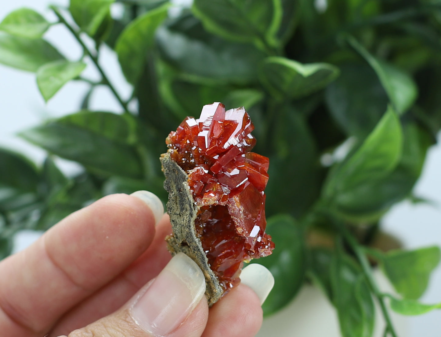 Moroccan Vanadinite Specimen