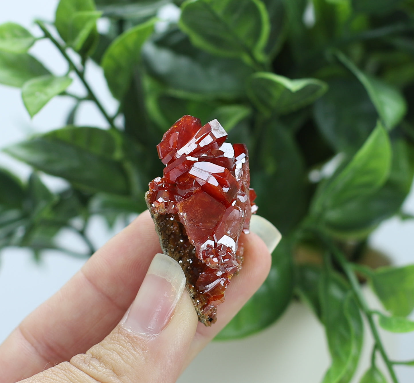 Moroccan Vanadinite Specimen