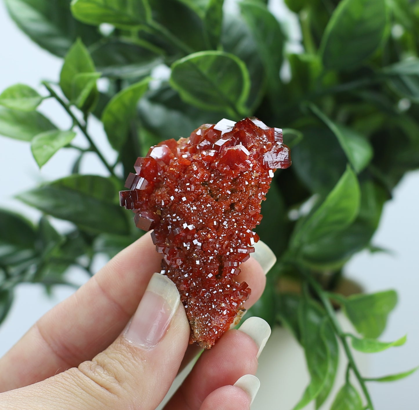 Moroccan Vanadinite Specimen