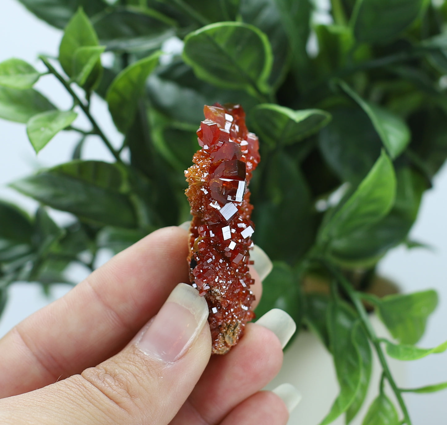 Moroccan Vanadinite Specimen