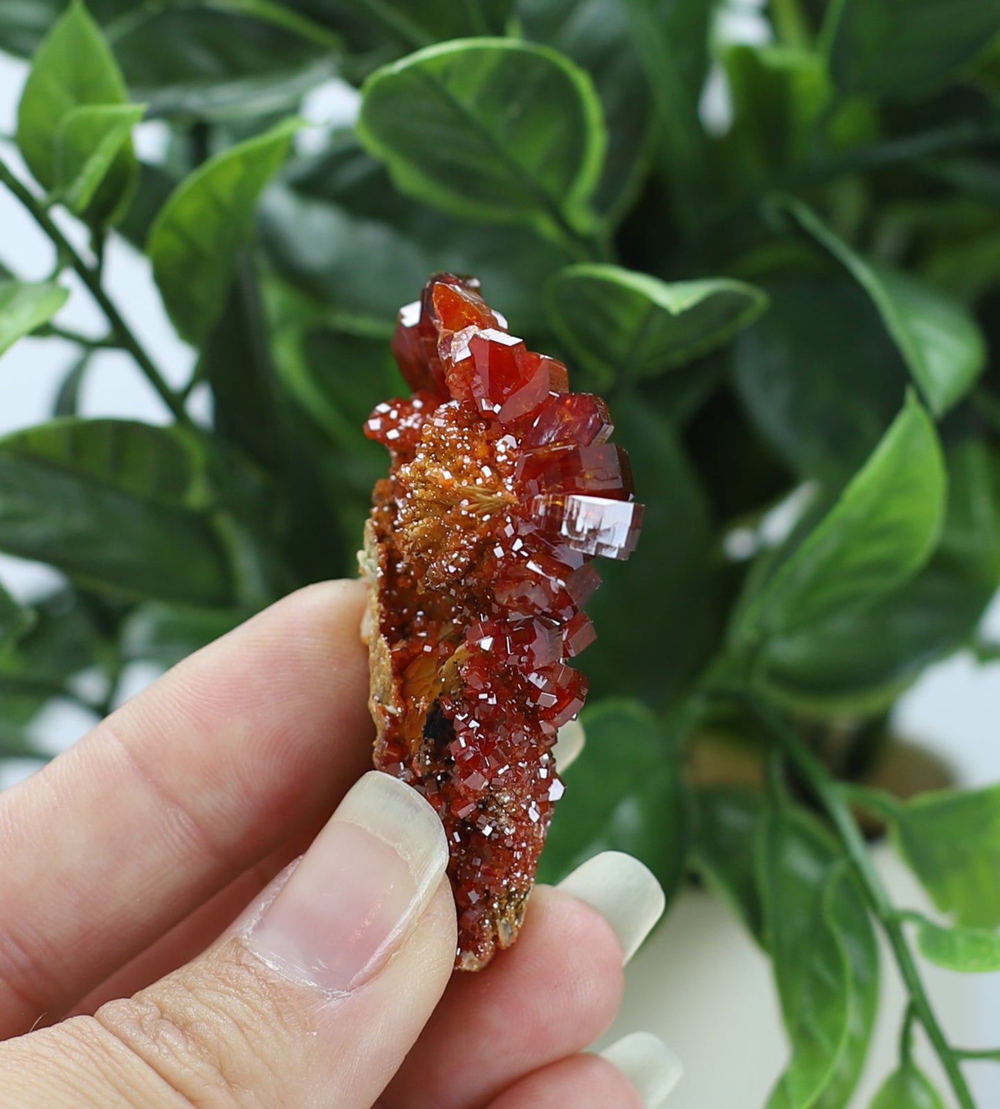 Moroccan Vanadinite Specimen