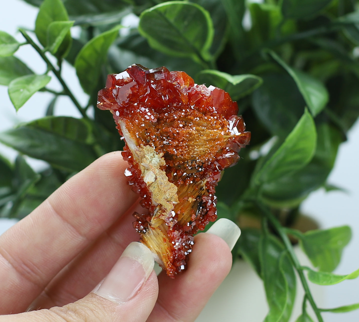 Moroccan Vanadinite Specimen