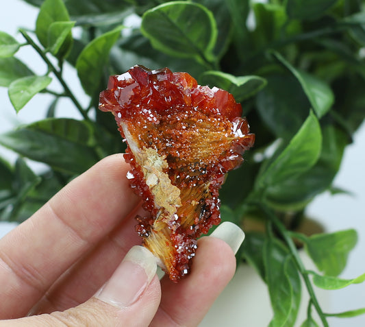 Moroccan Vanadinite Specimen
