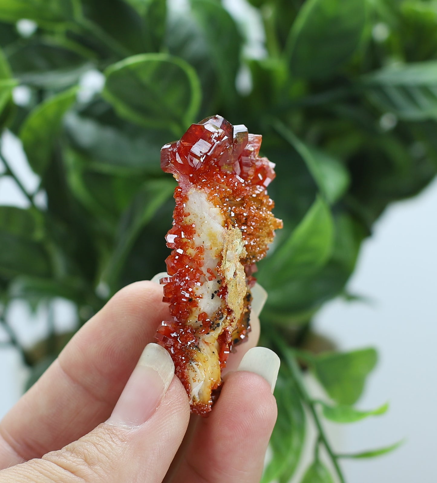 Moroccan Vanadinite Specimen