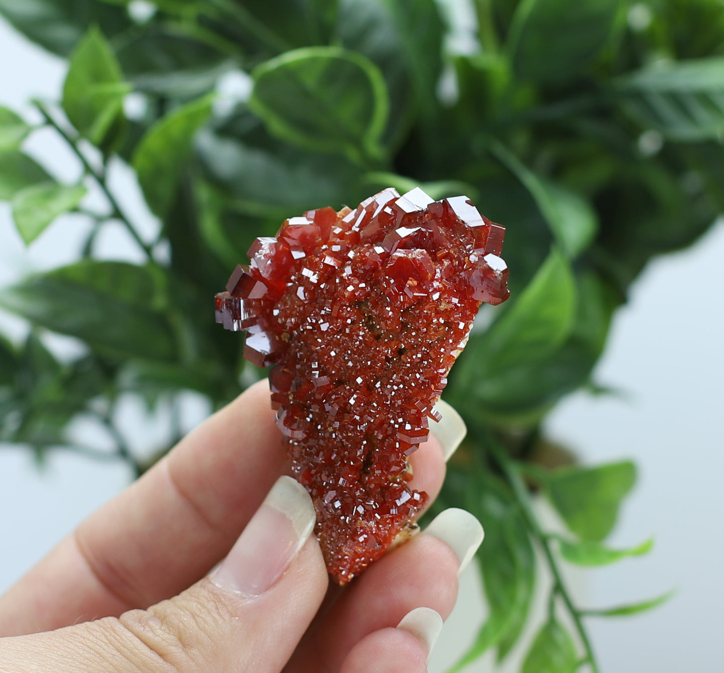 Moroccan Vanadinite Specimen
