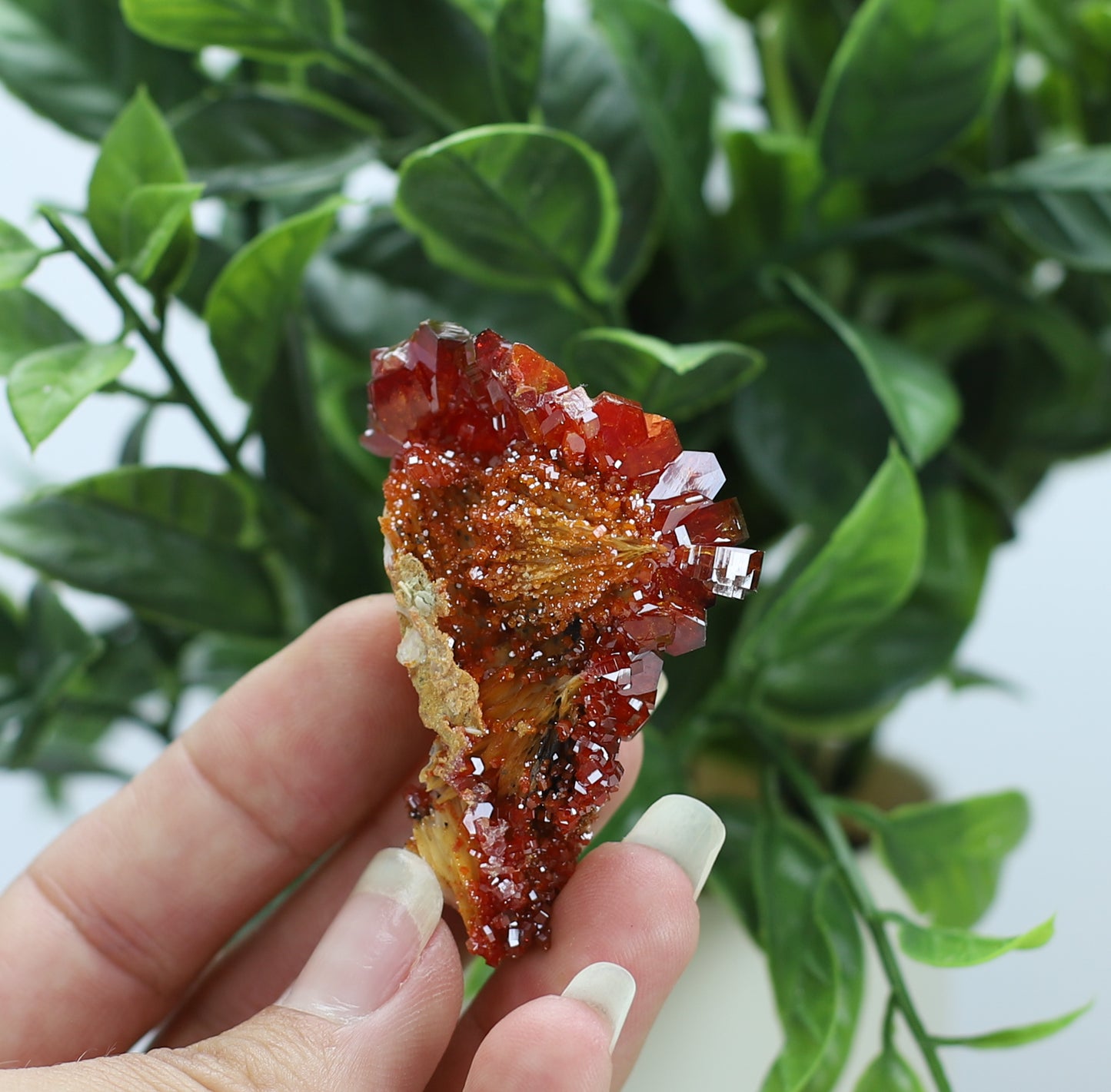 Moroccan Vanadinite Specimen