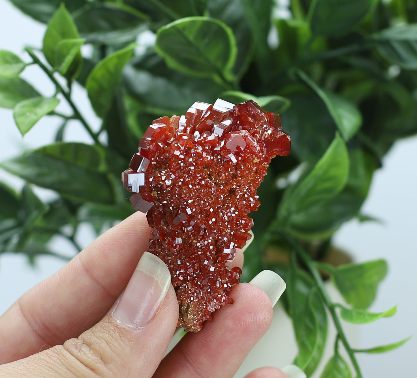 Moroccan Vanadinite Specimen